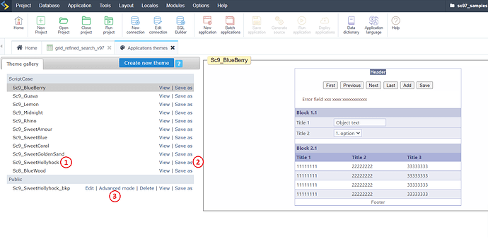 01_Application_Theme_Ver970