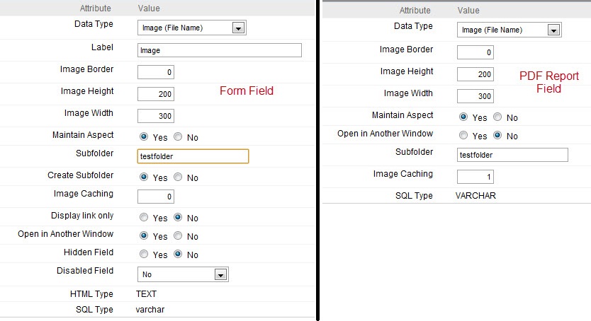 form_&_pdf_field.jpg
