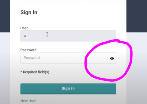 Show Password display on both field 'Password & Confirm Password' - General  Questions - Caspio Community Forums